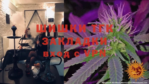 гидра Пестово