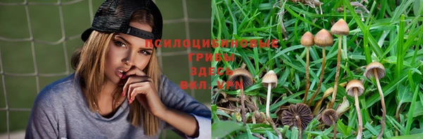 тгк Покачи
