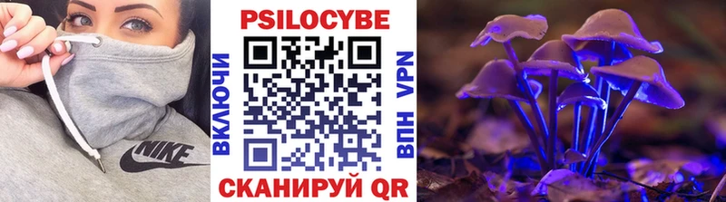 hydra как зайти  Симферополь  Псилоцибиновые грибы Magic Shrooms 