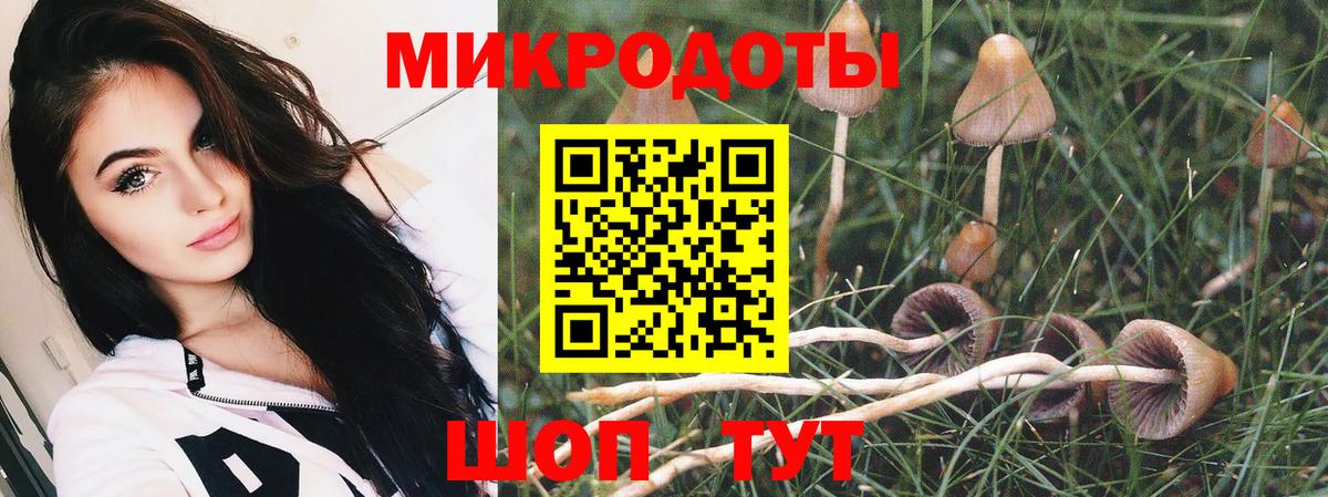 Псилоцибиновые грибы мухоморы  Вход с VPN  Галлюциногенные грибы Magic Shrooms  Симферополь 